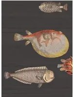 Acquario - Designtapete von Cole and Son - Schwarz/ bunt