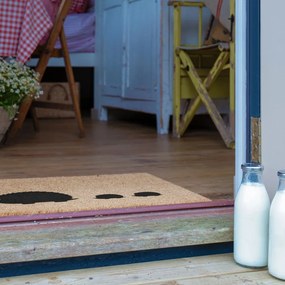 Zerbino in fibra di cocco 40x60 cm Hedgehog Family - Artsy Doormats