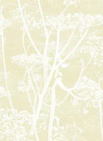 Cole & Son Carta da parati Cow Parsley - Straw on White