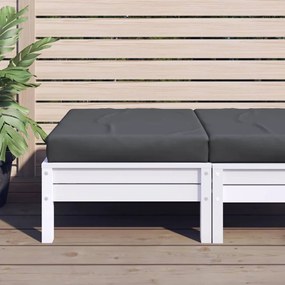 Cuscino Per Pallet Antracite 60x60x8 Cm İn Tessuto /
