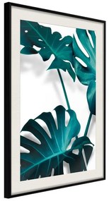 Poster  Turquoise Monstera II  Cornice Quadri Cornice nera con pass-partout, Larghezza x Altezza Home decor 20x30