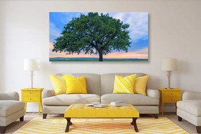 Quadro su tela – Quercia solitaria