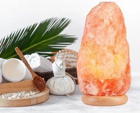 Lampada al sale SALLY 1xE14/25W/230V