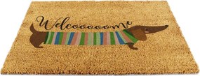 Zerbino in fibre di cocco 40x60 cm Welcome Sausage Dog – Artsy Doormats