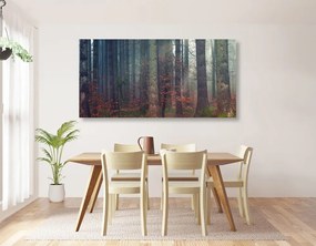 Quadro su tela – Mistero della foresta