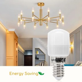 Lampadina LED per frigorifero T26 E14/2,5W/230V 3000K - Aigostar