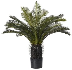 Pianta artificiale in vaso di plastica, cycas H 70 cm, Ø 17 cm