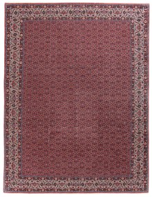 Bidjar Tappeto persiano 250 x 340 (Iran) Annodato A Mano