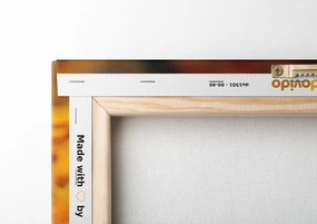 Quadro su tela – Calendula azteca