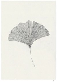 Poster 50x70 cm Ginkgo Leaf – Ana Frois – The Poster Club