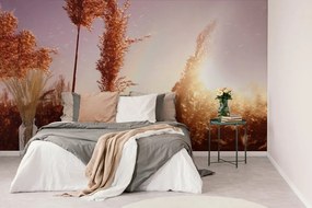 Carta da parati – Atmosfera autunnale