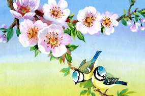 Quadro su tela – Cince e fiori in fiore