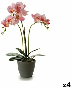 Pianta Decorativa Orchidea 19 x 48 x 24 cm Plastica (4 Unità)