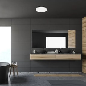 Rabalux - Plafoniera da bagno a LED/20W/230V IP44