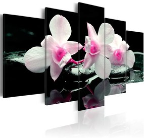 Quadro Riposo d'orchidea  Colore Nero, Dimensioni e Misure 200x100