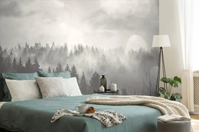 Carta da parati – Nebbia in bianco e nero sopra la foresta