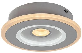 Rabalux 6959 - Plafoniera LED TANELI LED/20W/230V 3000/4000/6000K