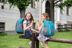 Zaino scuola BOLL SMART Artwork Collection 24 l Feathers - teal