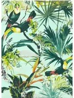 Clarke & Clarke Carta da parati Toucan - Sky