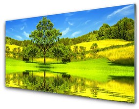 Quadro acrilico Natura dell'albero del prato 100x50 cm