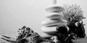 Stampa su tela – Pietre Zen con conchiglie in bianco e nero