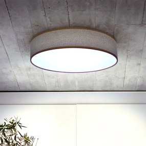 Brilagi - Lampada da soffitto dimmerabile CARMEN LED/48W/230V 3000-6500K + DO