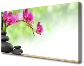 Quadro su tela Germogli di bambù Kamie Zen Spa 100x50 cm