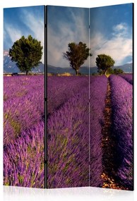 Paravento  Lavender field in Provence, France [Room Dividers]  Colore Bianco, Dimensioni e Misure 135x172