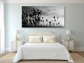 Quadro su tela – Steli d'erba nel campo in bianco e nero