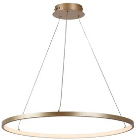 Rabalux 72347 - Lampadario LED sospeso su cavo BELIZA LED/55W/230V 3000K