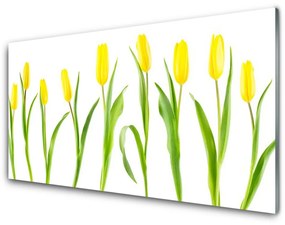 Pannello paraschizzi cucina Fiori gialli dei tulipani 100x50 cm