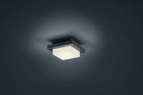 Applique a parete led hondo quadrata 228960142 antracite 14x14cm