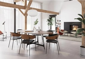 Sedia da pranzo nera opaca con braccioli Crib – DAN-FORM Denmark