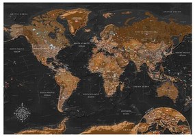 Fotomurale adesivo World: Stylish Map