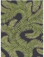 Josephine Munsey Carta da parati Bombes Fernery - Dark Grey/ Green