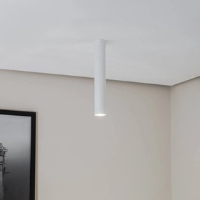 Euluna Thalassa downlight 1 luce bianco alto 40cm