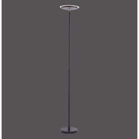 Leuchten Direkt 11729-18 - Lampada da terra LED dimmerabile HANS LED/22W/230V