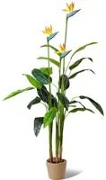 Bird of Paradise - Pianta Artificiale in vaso H160 cm