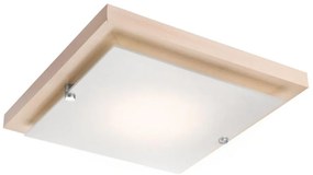 Lampada da soffitto 1xE27/60W/230V
