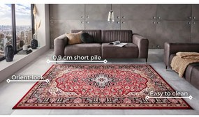 Tappeto rosso , 160 x 230 cm Skazar Isfahan - Nouristan