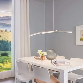 Eglo 97911 - Lampadario LED RGB a sospensione con filo dimmerabile FRAIOLI-C 2xLED/17W/230V