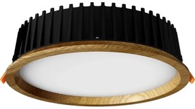 APLED - Lampada LED RONDO WOODLINE LED/18W/230V 4000K diametro 26 cm quercia legno solido