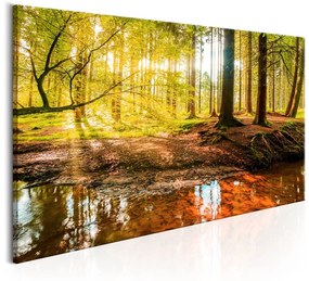 Quadro Autumnal Reverie  Colore Marrone, Dimensioni e Misure 70x35