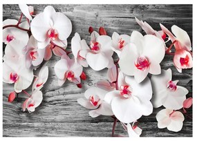 Fotomurale  Orchidee insensibili  Colore Grigio, Dimensioni e Misure 150x105