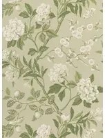GP & J Baker Carta da parati Emperor's Garden - Soft Green