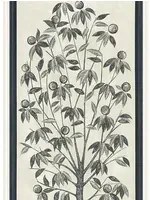 Cole & Son Carta da parati Trees of Eden - Lide