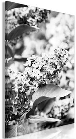 Quadro  Monochrome Lilac (1 Part) Vertical  Larghezza x Altezza Home decor 40x60