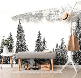 Carta da parati – Alberi di pino innevati bianco e nero