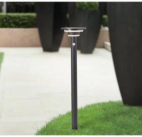 Brilliant - Lampada solare LED con sensore GARVINA LED/3W/3,7V 85 cm IP44 nero