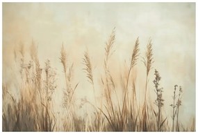Carta da parati – Piante secche in beige